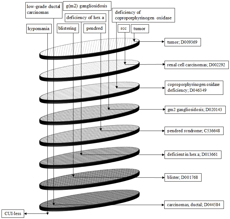 Normalization of Names in Biomedical Abstracts